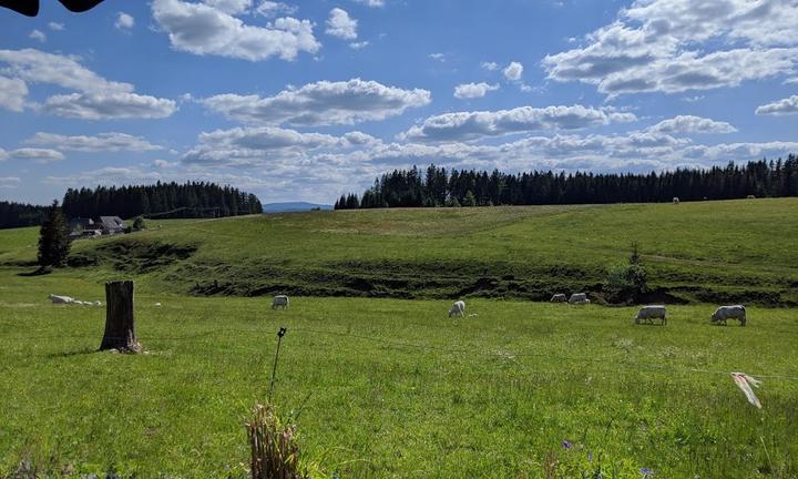 Gasthaus Zum Hirschen